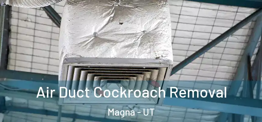  Air Duct Cockroach Removal Magna - UT