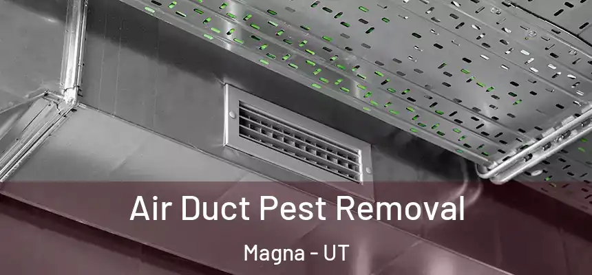  Air Duct Pest Removal Magna - UT