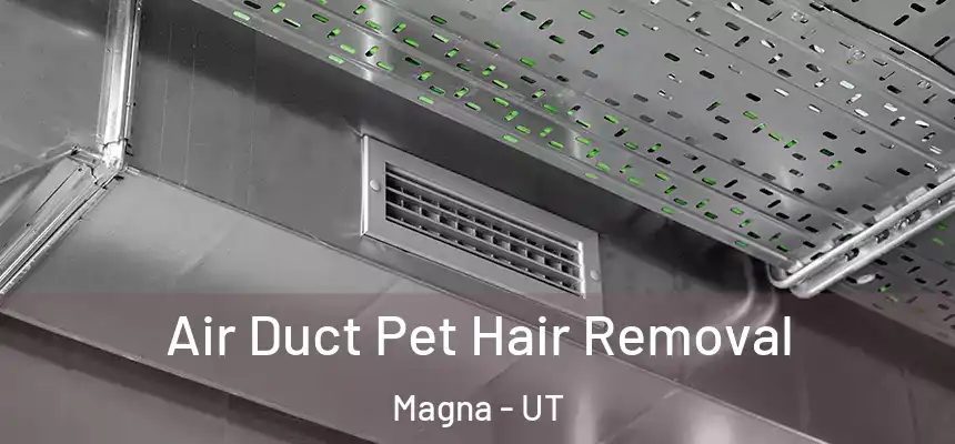  Air Duct Pet Hair Removal Magna - UT