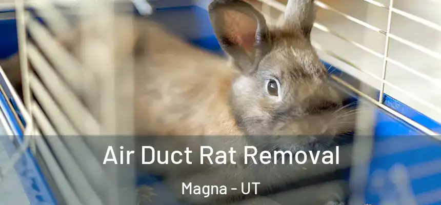  Air Duct Rat Removal Magna - UT