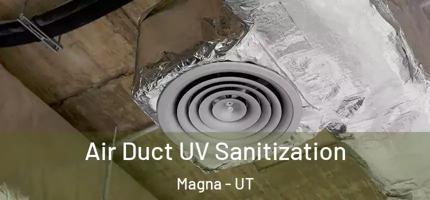  Air Duct UV Sanitization Magna - UT