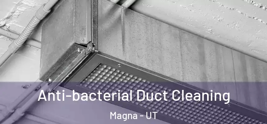 Anti-bacterial Duct Cleaning Magna - UT