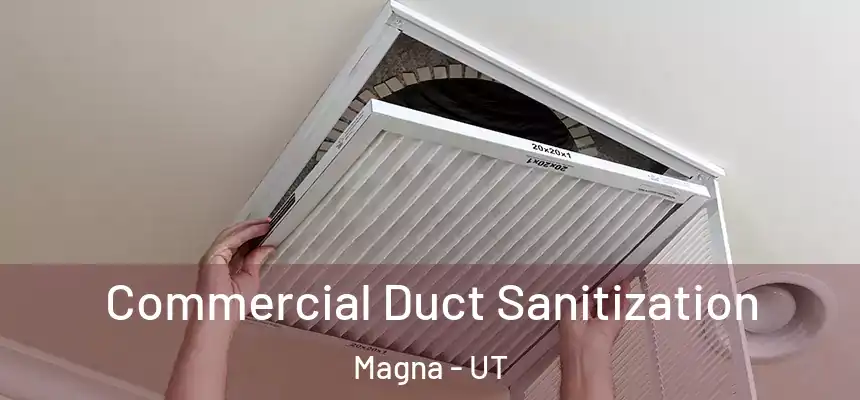  Commercial Duct Sanitization Magna - UT