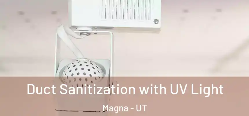  Duct Sanitization with UV Light Magna - UT