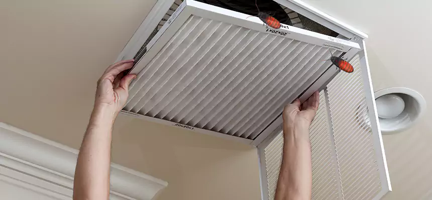 Preventive Cockroach-Proofing for Ducts in Magna