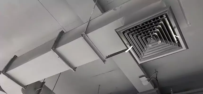 Restorative Allergy Relief Vent Cleaning – Coil, Blower & Housing Detail in Magna