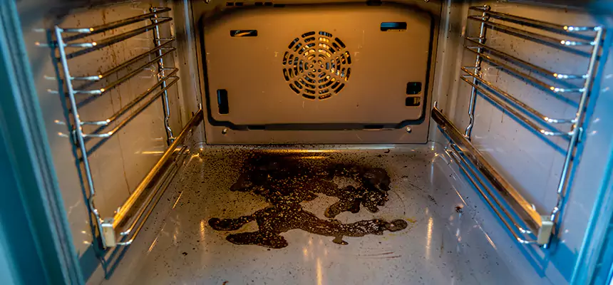 Our Dryer Vent Mold Cleaning Services in Magna, UT