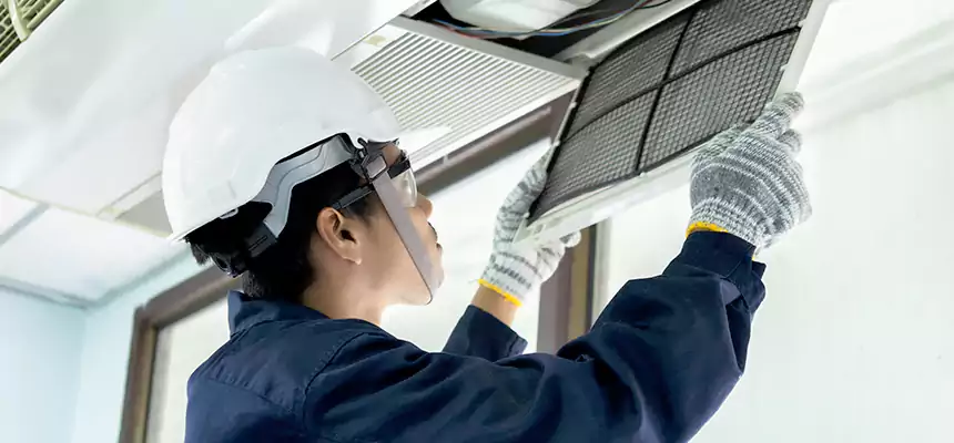 Our Mold & Mildew Removal from Air Ducts Services in Magna, UT