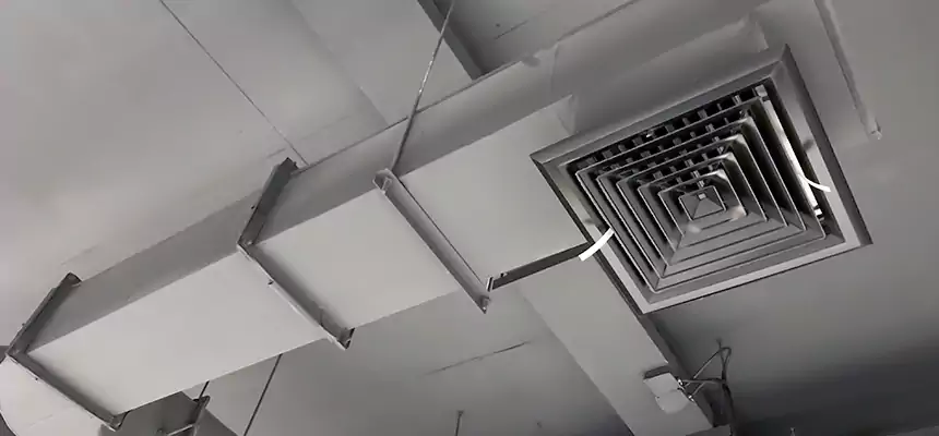 Our Pest Removal From Ducts Services in Magna, UT