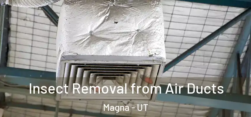  Insect Removal from Air Ducts Magna - UT