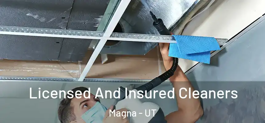  Licensed And Insured Cleaners Magna - UT