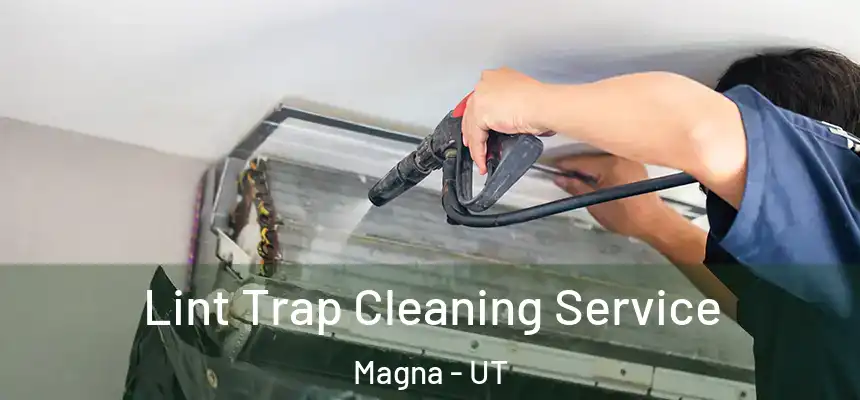 Lint Trap Cleaning Service Magna - UT