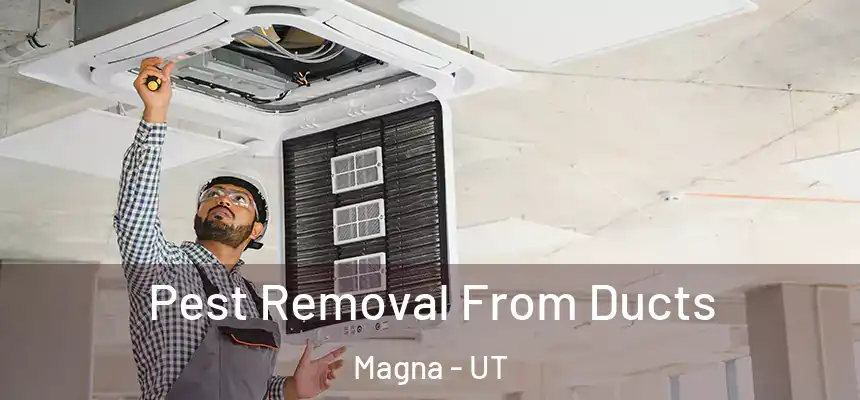  Pest Removal From Ducts Magna - UT