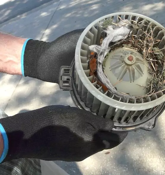 About Air Duct Mice Removal in Magna, UT