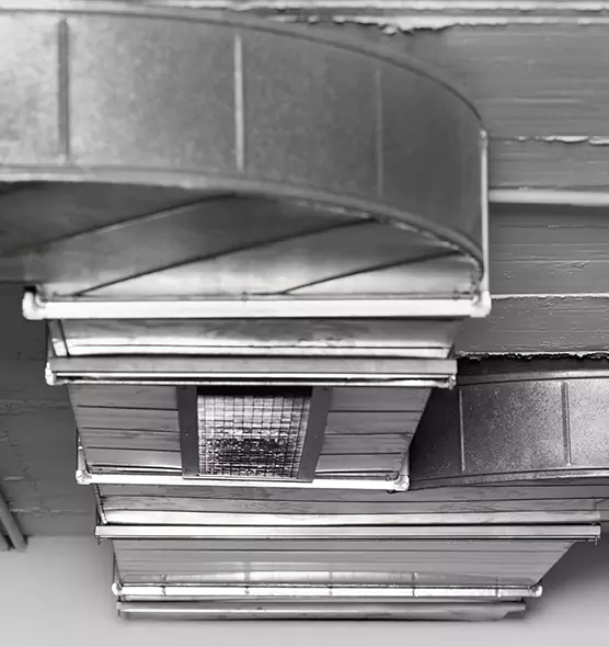 Professional Air Duct Pet Hair Removal in Magna, UT